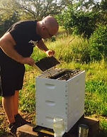 42416 johnhive 2.jpg