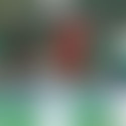 TVS mit Kantersieg bei Heimspiel-Derniere