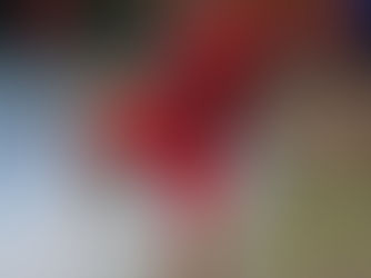 Überragende Leistung zum Saisonauftakt