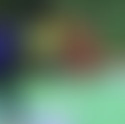 Das Derby zum Abschluss der Hinrunde