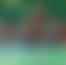 Mit Rückenwind ins Berner Oberland