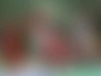 Zu Gast im wilden Westen