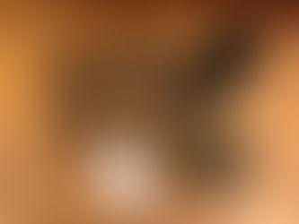 A Perfect Guide for handling succulent and cacti seedlings