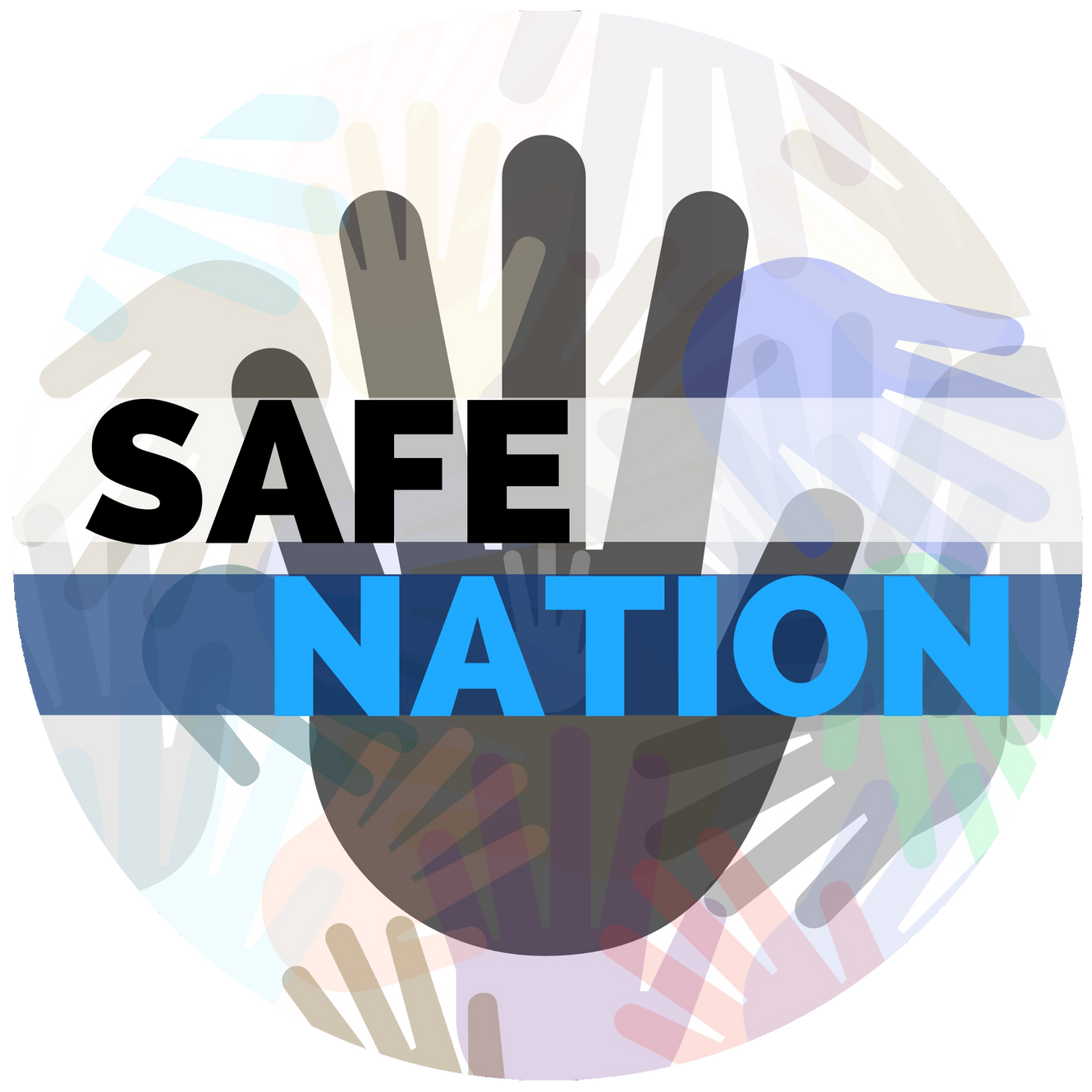 Safe Nation A Safer Nation Without Guns