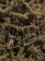 High Ropes