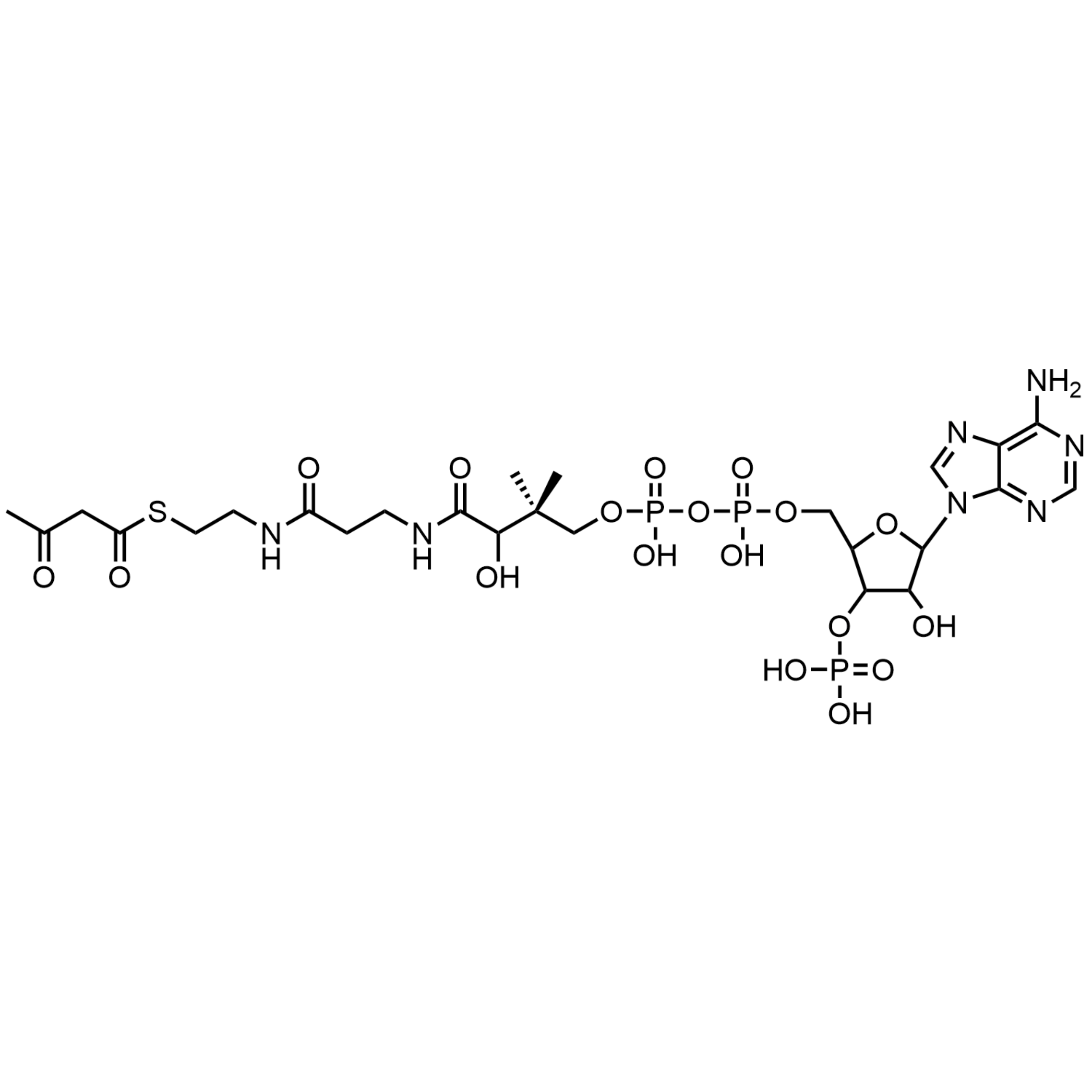 Acetoacetyl Coenzyme A, Free acid