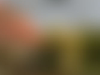 Verwitterte Scheune im sanften Licht eines Herbstmorgens, Tautropfen auf dem Gras und ein Hauch von Vergangenheit in der Luft.