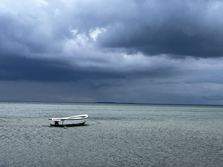 Scheunen-Urlaub auf Rügen - Zwischen Reetdach und Ostseewind