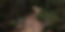jackson-blackhurst-AezEmNkxXQg-unsplash_edited.jpg