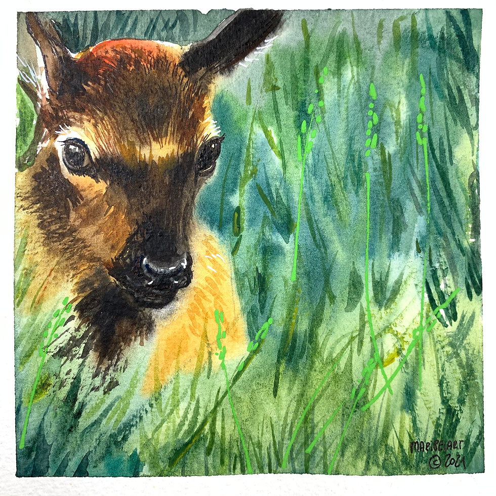 Fawn