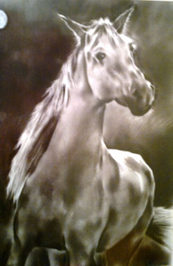 A white horse 1994