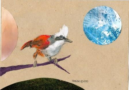 BirdIII2013