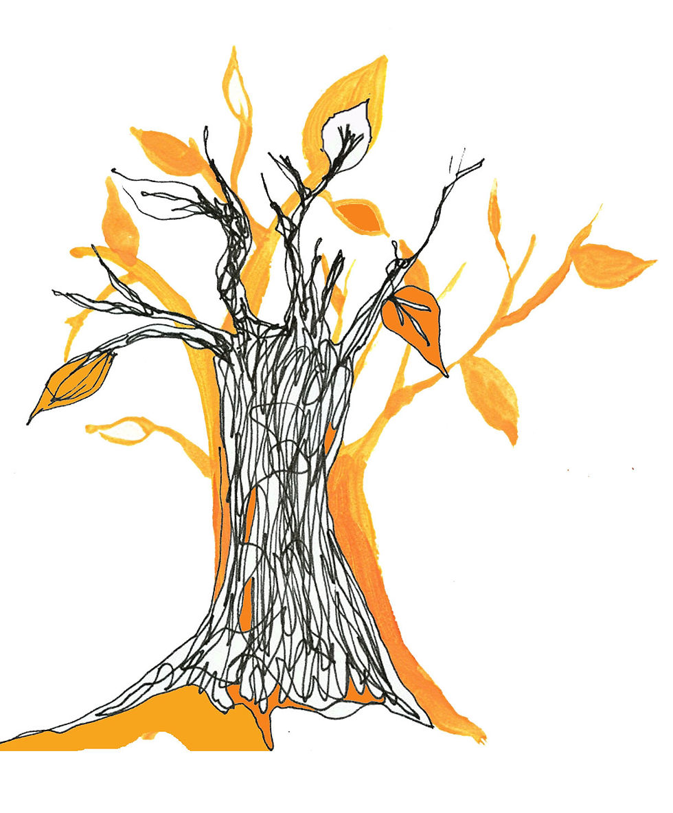 orange tree