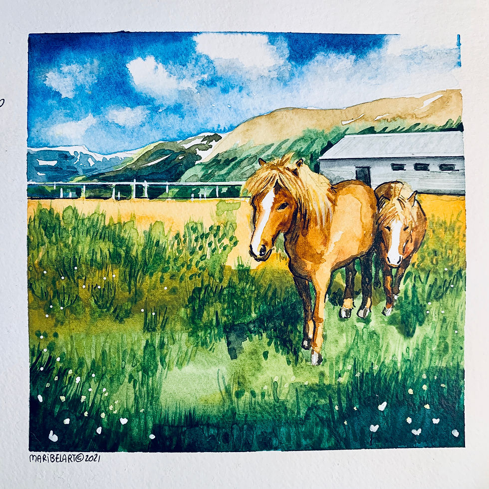 Icelandic horses