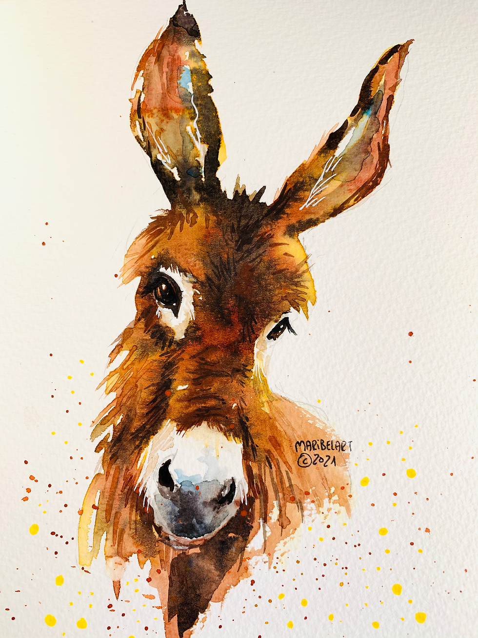 Donkey