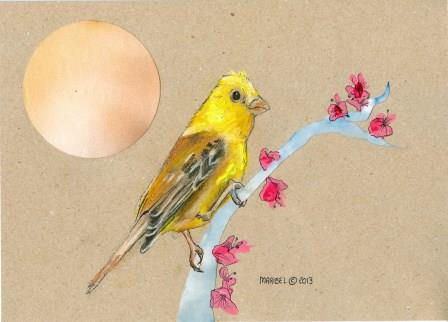 BirdIV2013