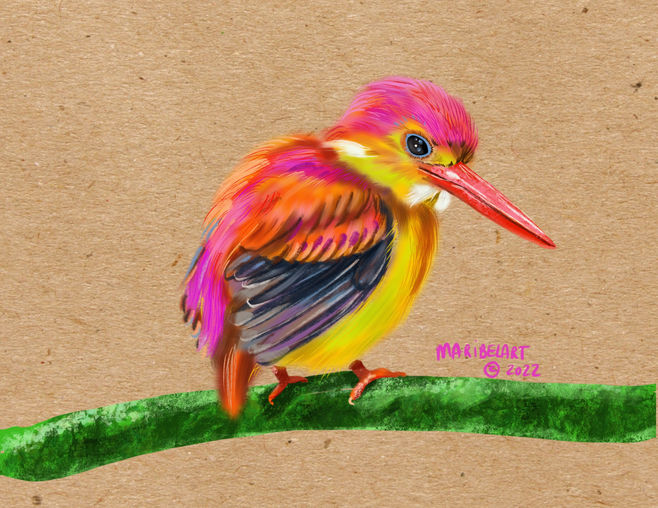 King_Fisher_Bird.jpg