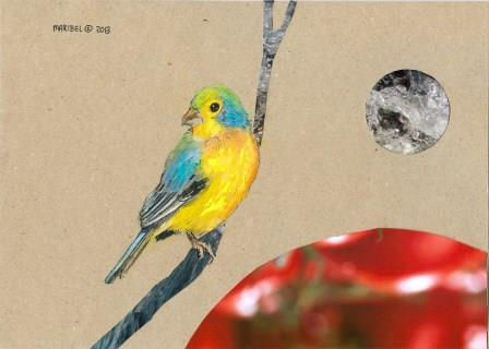BirdVI2013