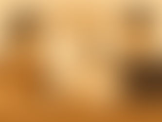 從約會到洗碗:財務、責任、規劃都可以寫進「婚前協議」!