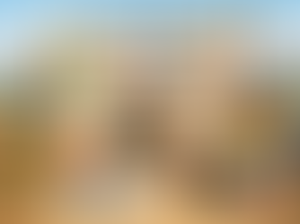 高資產的失控風險：投資多、分散多，卻少了最重要的「財務總表」