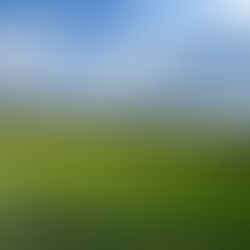 Golf, Great Food and Gorgeous Views at Deerhurst Highlands