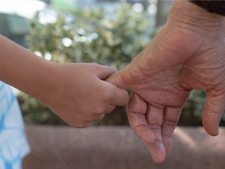 The Science of longevity and healthy ageing 