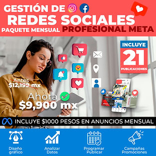 Redes Sociales PROFESIONAL.jpg