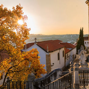 Morar em Viseu: qualidade de vida, preços de imóveis e oportunidades no centro de Portugal