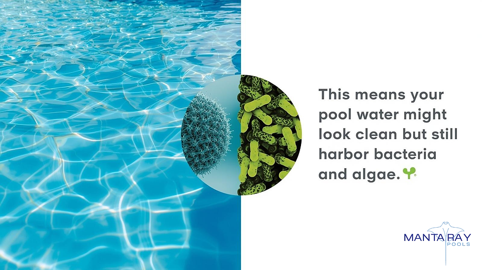 Clear pool water with bacteria and algae close-up. Text: "This means your pool water might look clean but still harbor bacteria and algae." Manta Ray Pools logo.