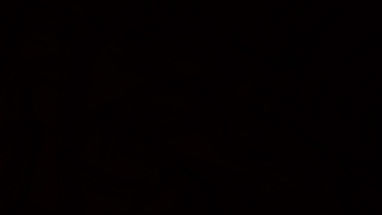 4068816.jpg