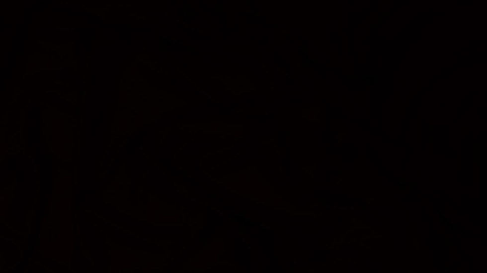 4068816.jpg