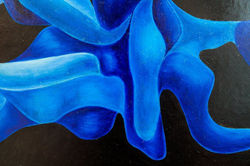 19510212_1257280717713653_9163567418589378643_n