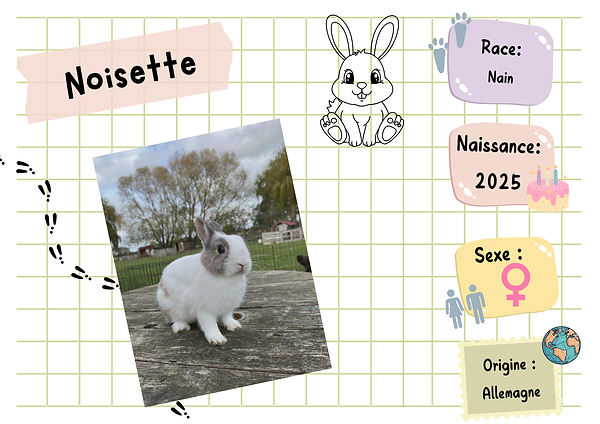 Copie de Sans titre (297 x 210 mm) (16).png