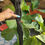 Thumbnail: Dread Extensions 