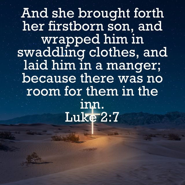 Christmas 2025 Greetings from PRTS