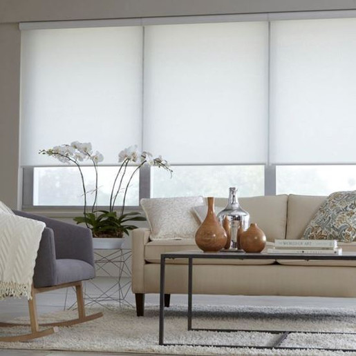 0000073_roller-shades-screen_550.jpeg