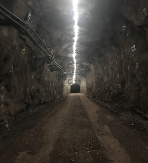 Transitional Lighting-12 LED TO 36 LED .JPG