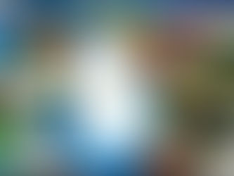 Empowering Sri Lankans to Lead the Future of Tourism