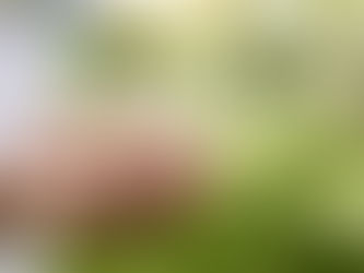 What is the Importance of Energy and Energy Quality in Our Lives?