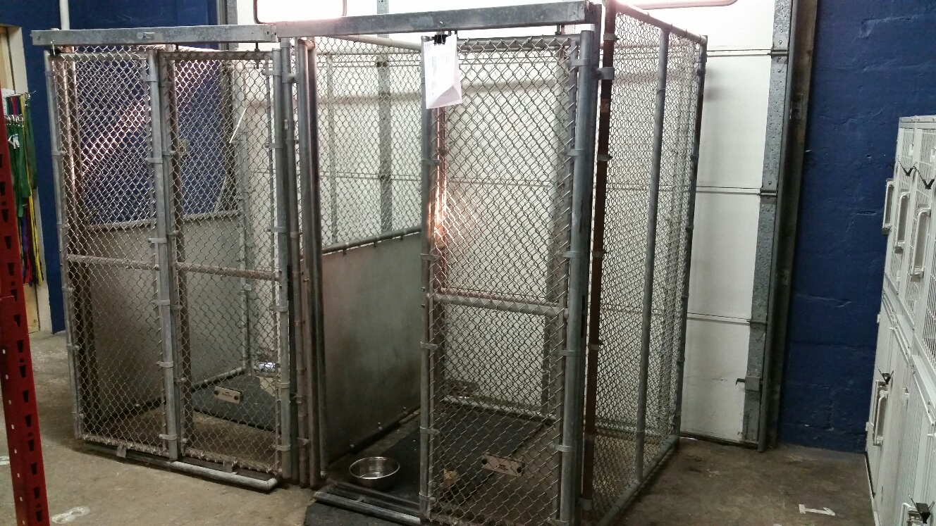 K9 KONCEPTS DOG TRAINING, GROOMING, BOARDING BALTIMORE, MD