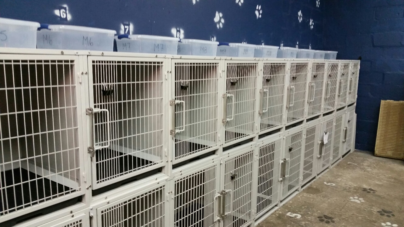 K9 KONCEPTS DOG TRAINING, GROOMING, BOARDING BALTIMORE, MD