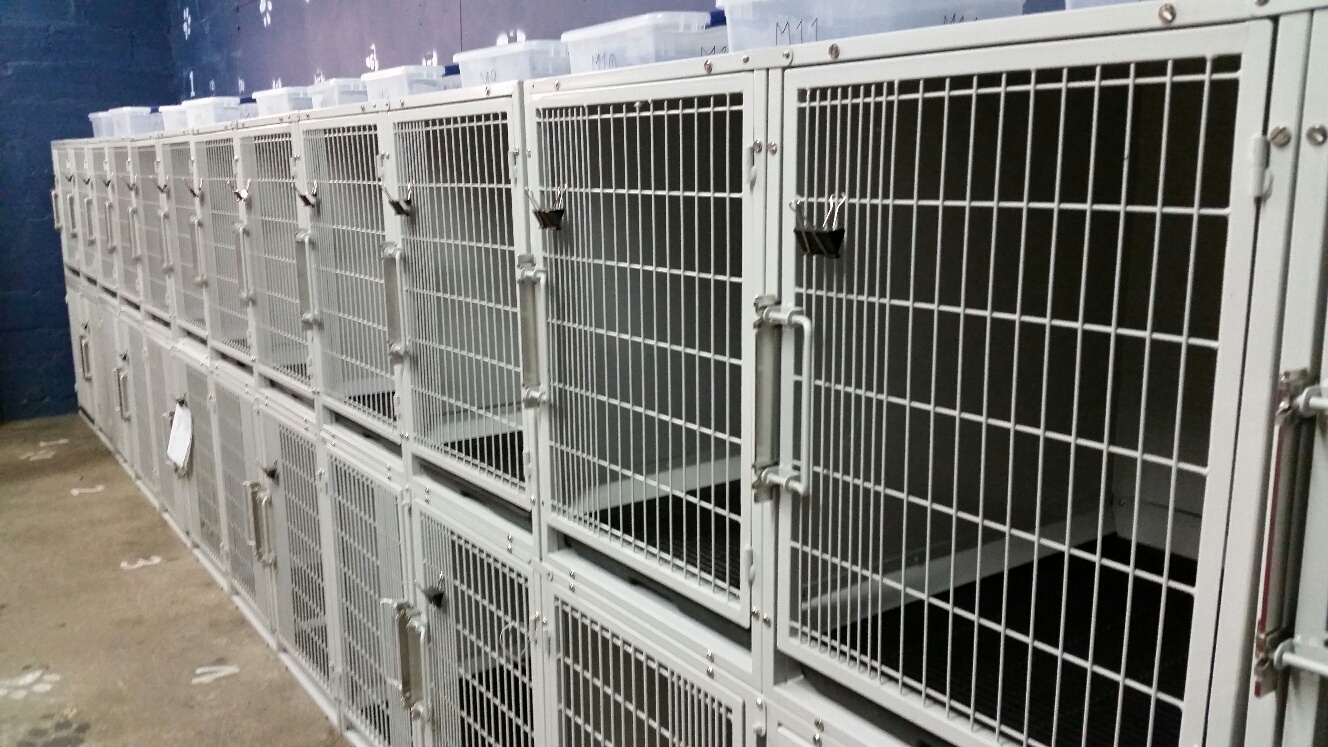 K9 KONCEPTS DOG TRAINING, GROOMING, BOARDING BALTIMORE, MD