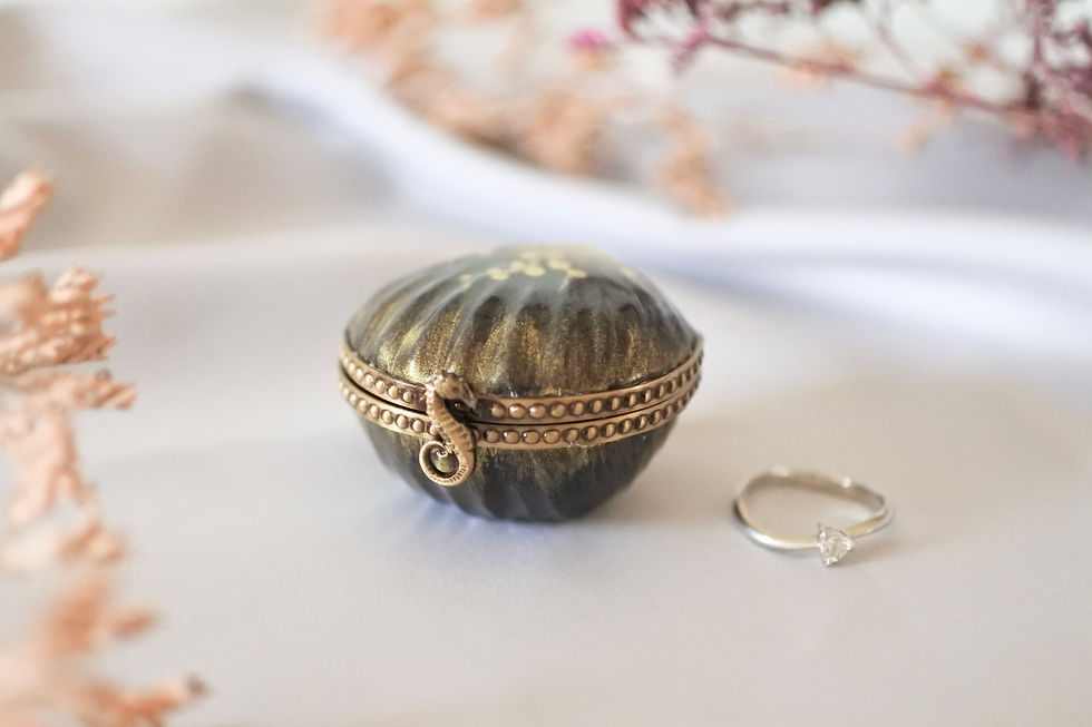 Miniaturbild: Ring box front view closed