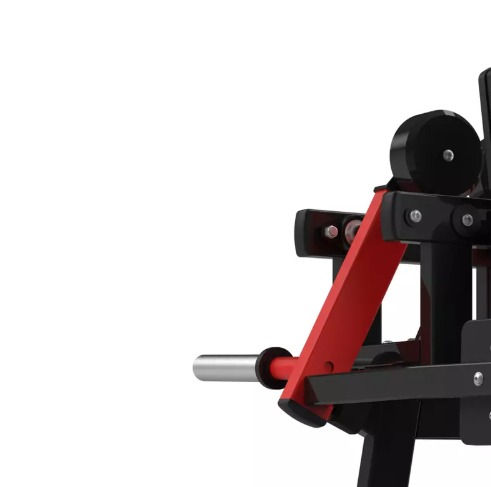 Thumbnail: RS-1016 LATERAL RAISE