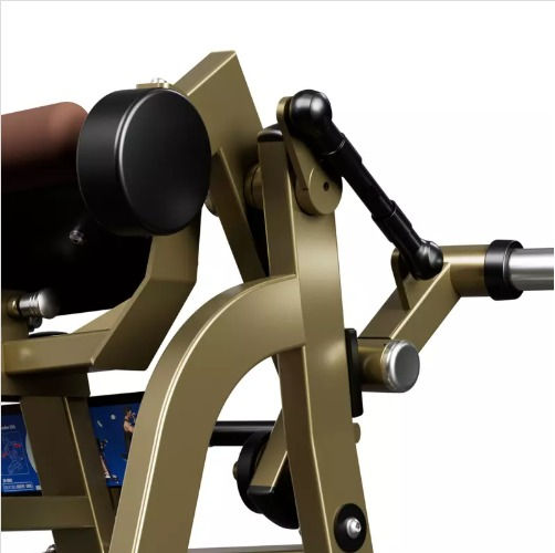 Thumbnail: LD-1005 BICEPS CURL