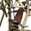 Thumbnail: LD-1010 WIDE CHEST