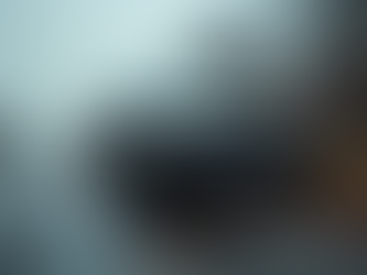 Mastering Insurance Claims Assistance