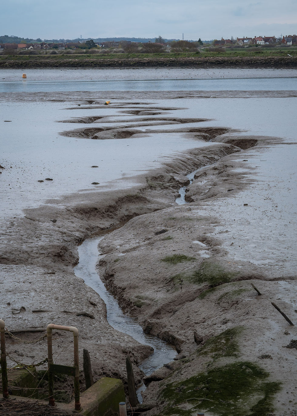 Water snaking its way through the mud towards the River Crouch.