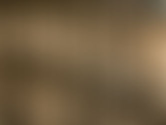 The Documents That Already Existed