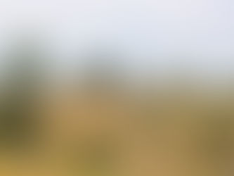 Clark & Associates Land Brokers Announces Price Adjustment: Miller Ranch